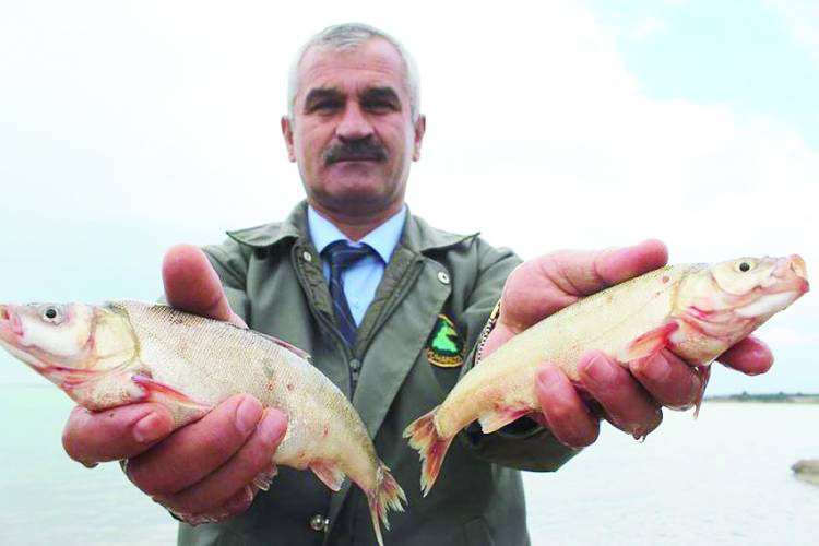 Beyşehir’in yağ, sıraz ve sudak balıkları tescillendi