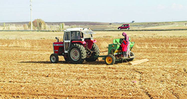 Hüyük Ziraat Odası Başkanı Hürriyet Şahin, Çiftçiler ekim çalışmalarını sürdürdürüyor.